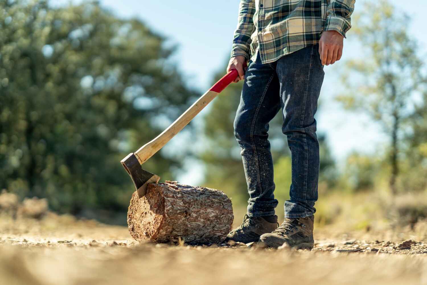 Briar, TX Tree Service Company